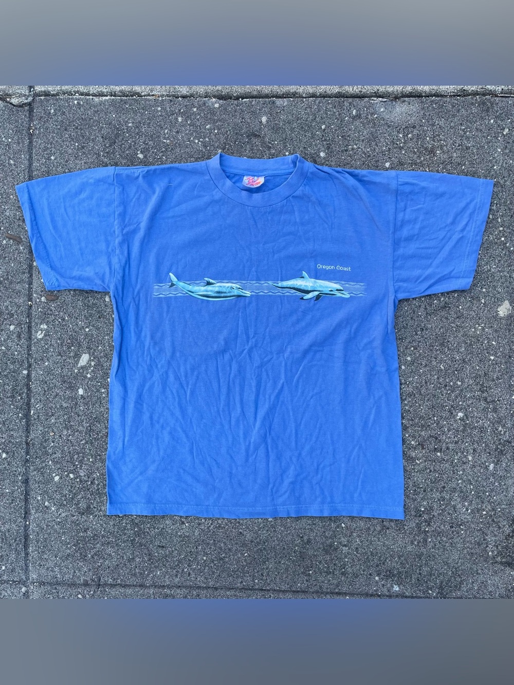 Vintage 90s blue Oregon Coast dolphin graphic tee medium (20x25)